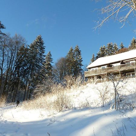 Fewo Waldblick Sankt Andreasberg Exteriör bild