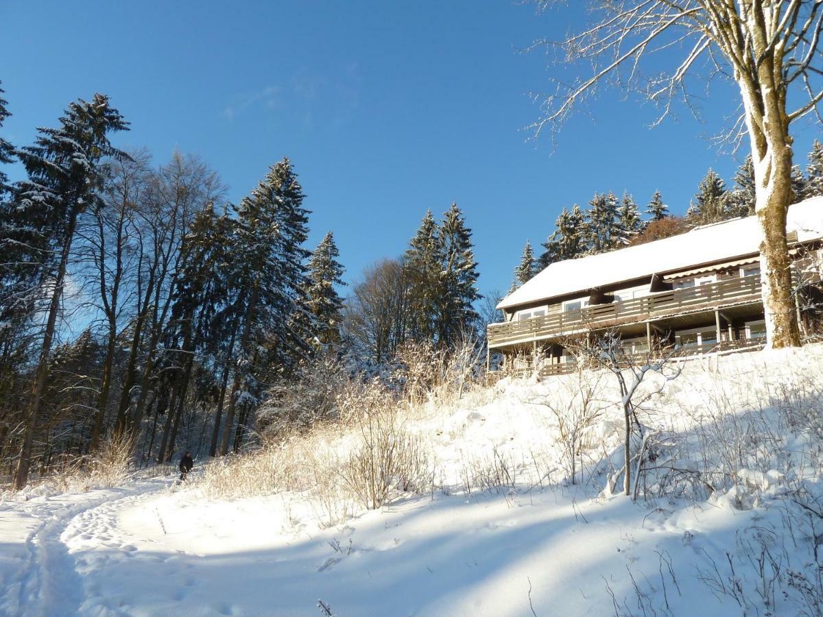 Fewo Waldblick Sankt Andreasberg Exteriör bild
