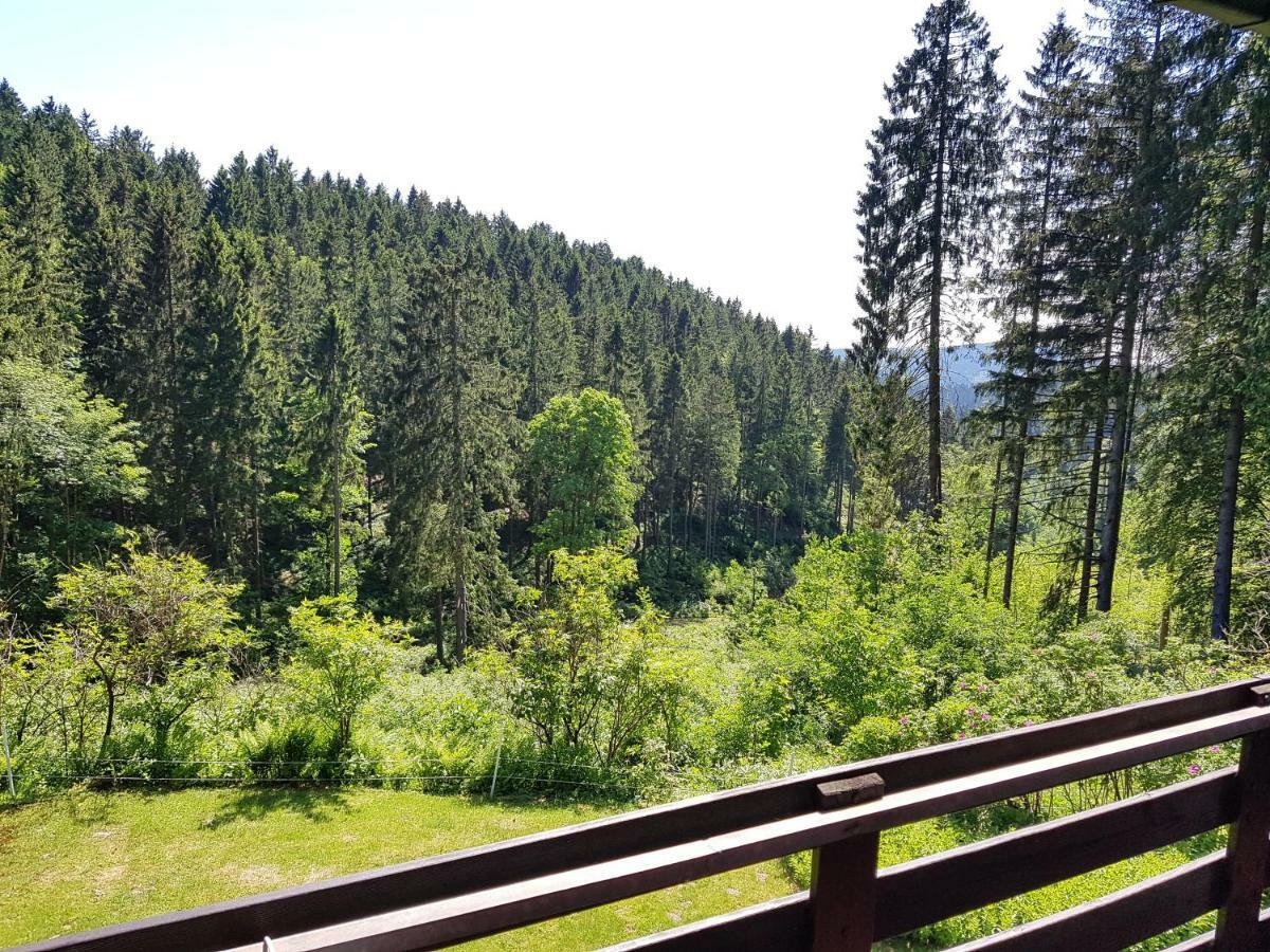 Fewo Waldblick Sankt Andreasberg Exteriör bild